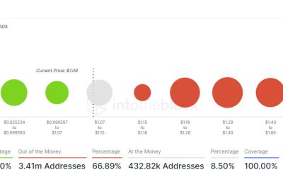 67% of Cardano holders underwater and most bought less than 1 year ago