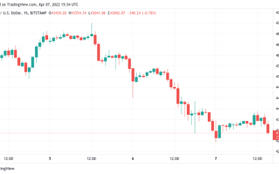 Bitcoin sentiment falls into ‘fear’ as BTC price action hits $42.9K breakdown target