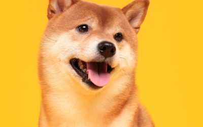 Shiba Inu Presents SHIB Metaverse With Over 100K Land Plots