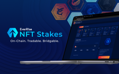 DeFi Protocol EverRise Introduces New Utility for On-Chain NFTs