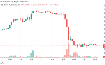 ‘Someone is blowing up’ — Bitcoin sees 2022 volume record amid hopes capitulation is over