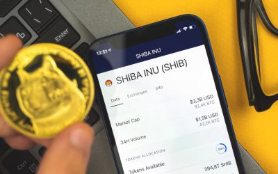 Shiba Inu (SHIB) could surge by 35% despite bearish sentiment in the market