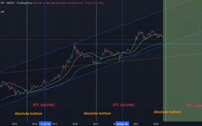 Bitcoin price predictions abound as traders focus on the next BTC halving cycle