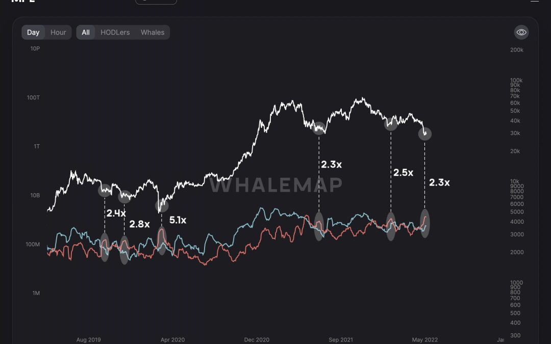 Bitcoin must defend these price levels to avoid ‘much deeper’ fall: Analysis