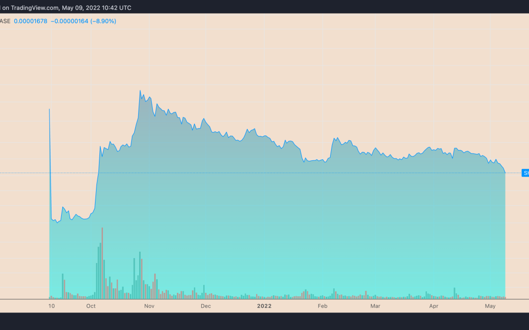 SHIB price eyes 30% drop with Shiba Inu’s massive triangle breakdown underway
