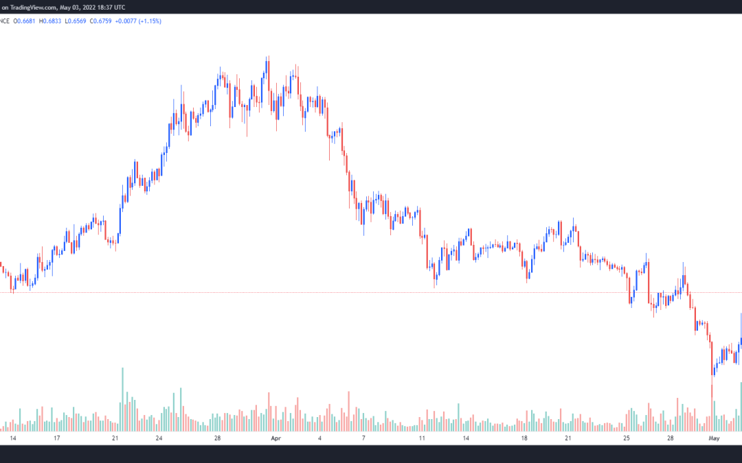 Markets are weak, but ALGO, FXS and HNT book a 20%+ rally — Here’s why