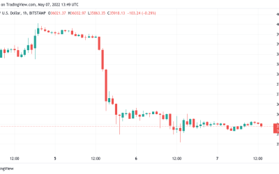 Bitcoin clings to $36K as data suggests BTC price sell-off came from short-term holders