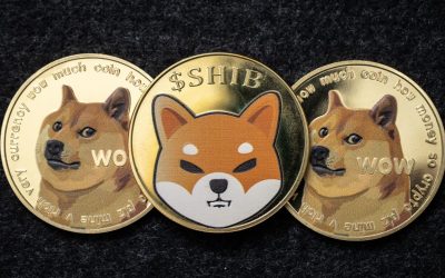 Meme Token Carnage — DOGE, SHIB Prices Sink Lower,  Dogecoin Down 82% Since Last Year