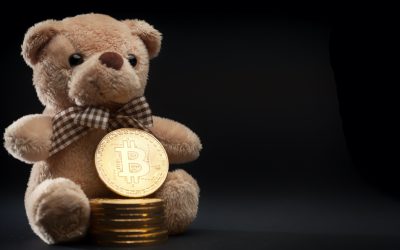 Recent Bitcoin Bull Run and Prior Run-up Data Suggests a Softer Bear Market Is in the Cards