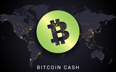 Bitcoin Cash to Include Bigger Integers and Native Introspection in Upcoming Upgrade