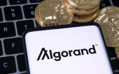 Algorand risks fresh new bottom as weakness persists after a failed breakout