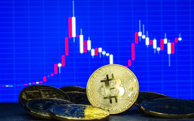 Top analyst shares thoughts on when Bitcoin is likely to ‘bottom’