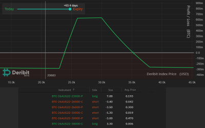 Here’s how pro traders could use Bitcoin options to buy the $20K BTC dip