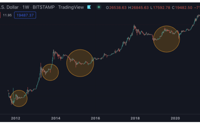 Is there a way for the crypto sector to avoid Bitcoin’s halving-related bear markets?