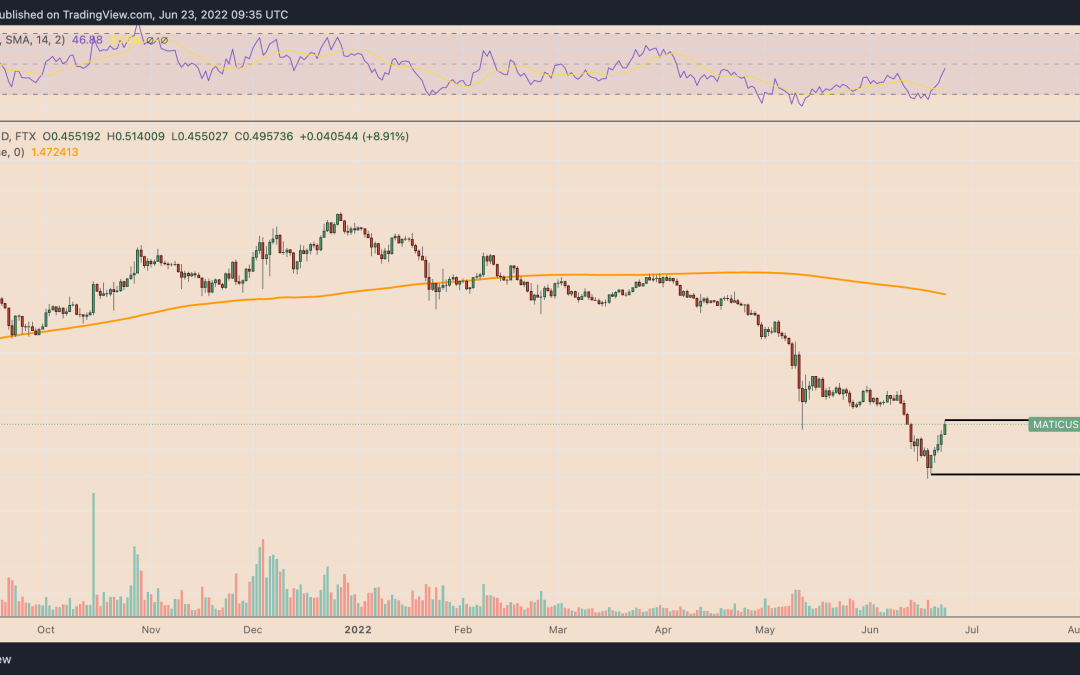 Polygon price jumps 60% in four days amid ‘pretty big’ MATIC accumulation