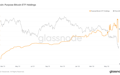 More ‘forced selling’ ahead? Purpose Bitcoin ETF holdings plunge by 51% in biggest outflow ever