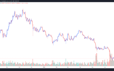 Bitcoin clings to $20K as analysts warn of a long, bumpy ride for the foreseeable future