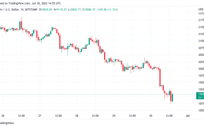 Bitcoin nears worst monthly losses since 2011 with BTC price at $19K