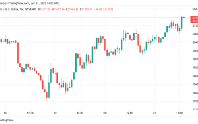 Bitcoin price taps 5-day highs as Shiba Inu leads altcoin gains