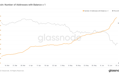 Bitcoin mints more than 13,000 ‘wholecoiners’ in the past seven days