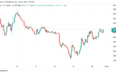 BTC price recovers to 3-day highs as new whale support forms at $19.2K