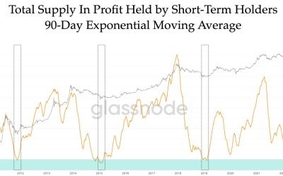 Further downside is expected, but multiple data points suggest Bitcoin is undervalued