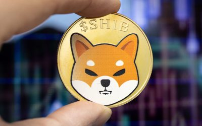 Biggest Movers: SHIB Surges 10% on Saturday, as NEAR Hits 2-Week High