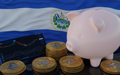 Treasury Minister of El Salvador Dismisses Bitcoin Investment Losses, Calls Media Reports Biased