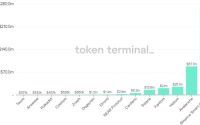 Time to accumulate? 5 sectors to watch during crypto winter