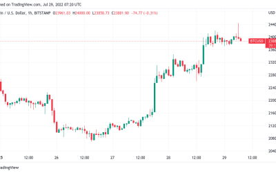 Bitcoin bull run ‘getting interesting’ as BTC price hits 6-week high