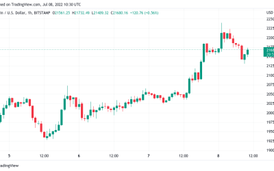 Bitcoin price builds best weekly candle since March despite new DXY peak