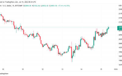 Bitcoin whales still ‘hibernating’ as BTC price nears $21K