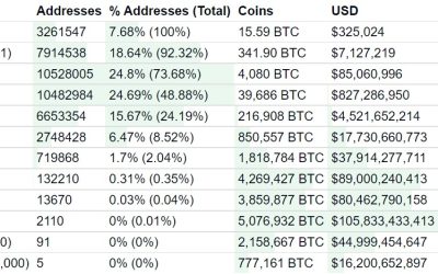 Hodlers and whales: Who owns the most Bitcoin in 2022?