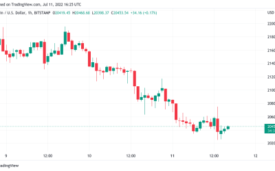 Bitcoin risks new lows as $20K looms amid dollar euro parity