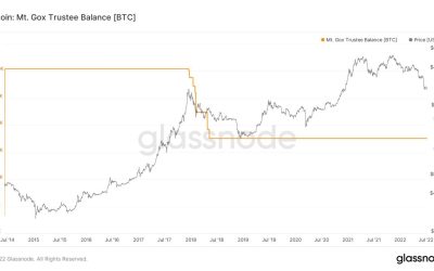 Bitcoin faces Mt. Gox ‘black swan’ as trustee prepares to unlock 150K BTC