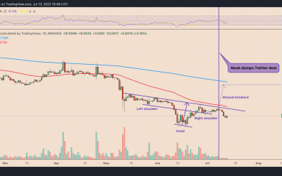 Dogecoin misses bullish target after Elon Musk snubs Twitter — what’s next for DOGE price?