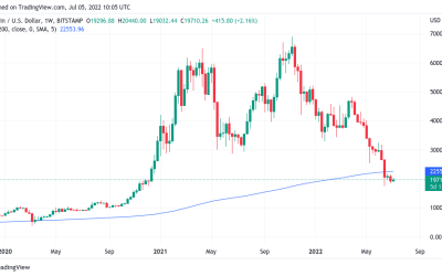 ARK Invest ‘neutral to positive’ on Bitcoin price as analysts await capitulation