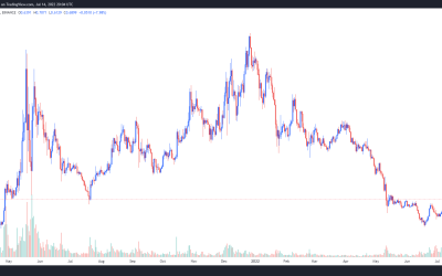 3 reasons why Polygon (MATIC) is up 100%+ during a bear market