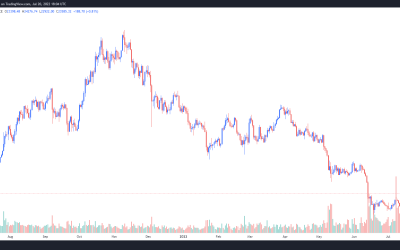 Bitcoin price hits $24K, but analysts say on-chain data points to an ‘inevitable’ pullback