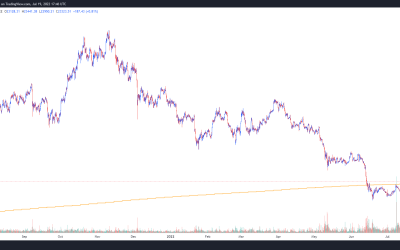 Bitcoin price moves toward $24K and traders expect further upside, after a support retest