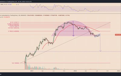 Axie Infinity is painting a giant bearish pattern — will AXS price crash another 95%?