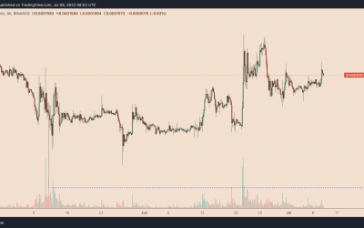 DOGE days of summer: Shiba Inu gains 40% on Dogecoin two months after record lows