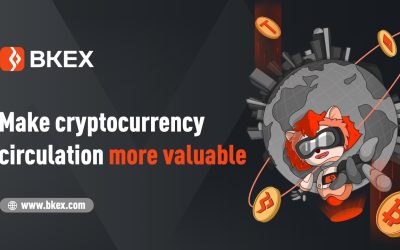 Introducing User-Centric BKEX Exchange