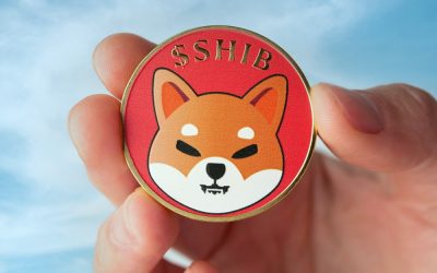 Biggest Movers: SHIB Remains Close to 2-Month High, as BCH Extends Recent Gains