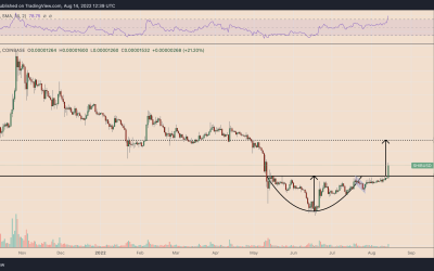 Shiba Inu eyes 50% rally as SHIB price enters ‘cup-and-handle’ breakout mode