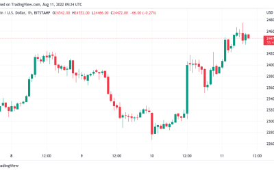 Bitcoin battles 2-month resistance amid ‘most hated’ stocks rally