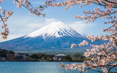 How to use cryptocurrency in Japan: easy-to-understand explanation of crypto payments by field