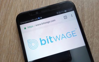 Exclusive: Bitwage CEO says ‘we’ll be empowering millions’ after Stellar announcement