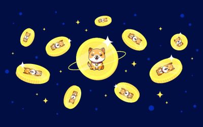 BabyDoge’s new swap protocol testnet goes live on BSC