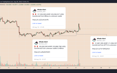 XRP price pumps and dumps amid mysterious $51M whale transfers — What’s next?